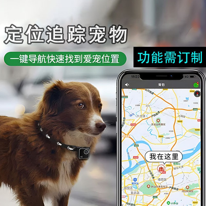 Caméra intelligente pour colli - Cameras avis et prix